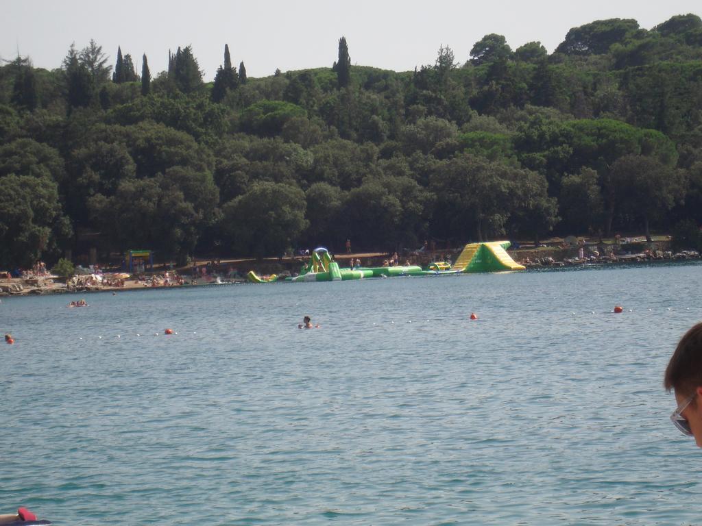 Vidakovic Apartment Rovinj